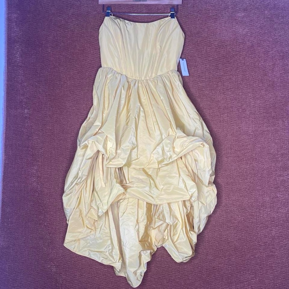 NWT Modern Anthropologie Yellow Corset Hi Low Bubble Skirt Dress, Size S. - Picture 4 of 8